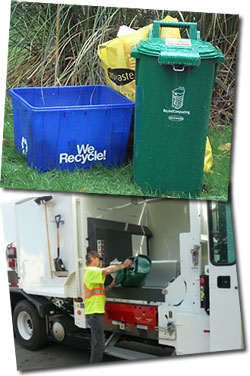Curbside Collection Program Guidelines