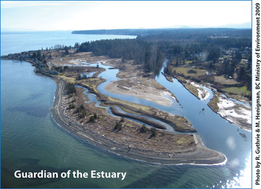 Little Qualicum River Estuary Regional Conservation Areac