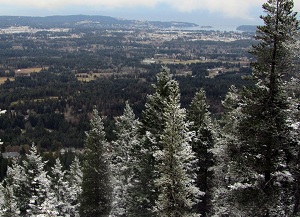 park photo