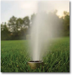 Residential Irrigation Review Program