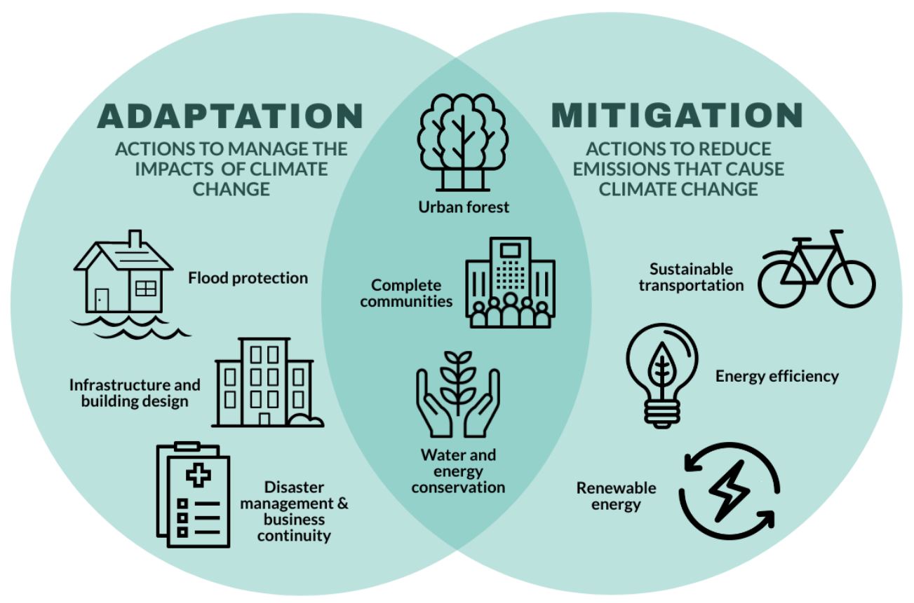 Difference Between Adaptation & Mitigation