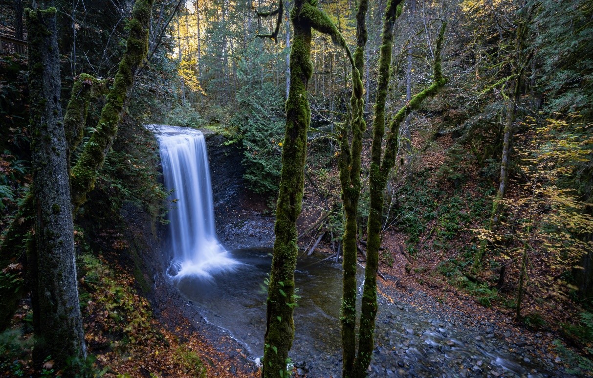 Your RDN: Ammonite Falls in Autumn by Ken N.