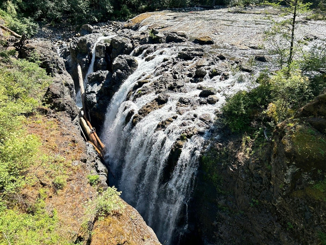 Your Region (Youth): Englishman River Falls by Noah L.