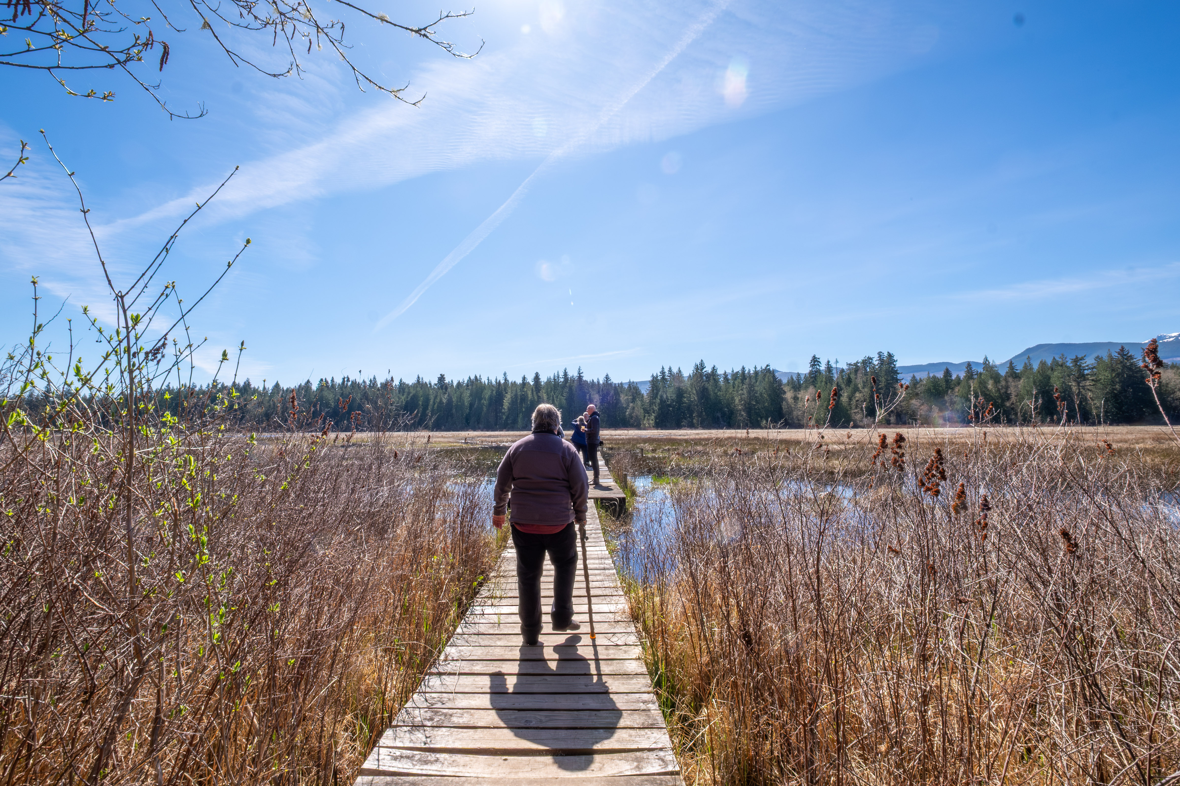 View of Hamilton Marsh board walk