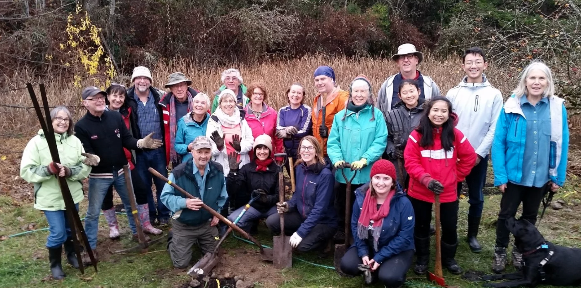 Wetland Workshop