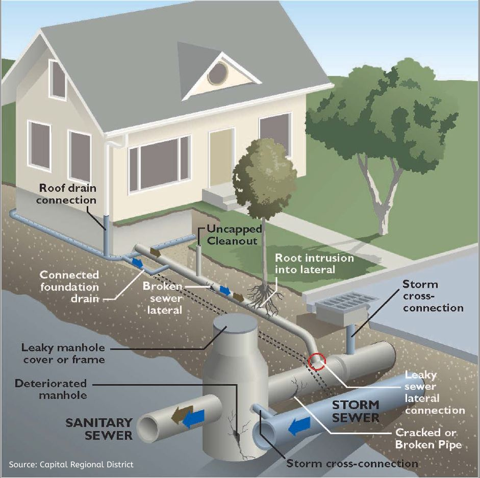 Inflow And Infiltration | RDN