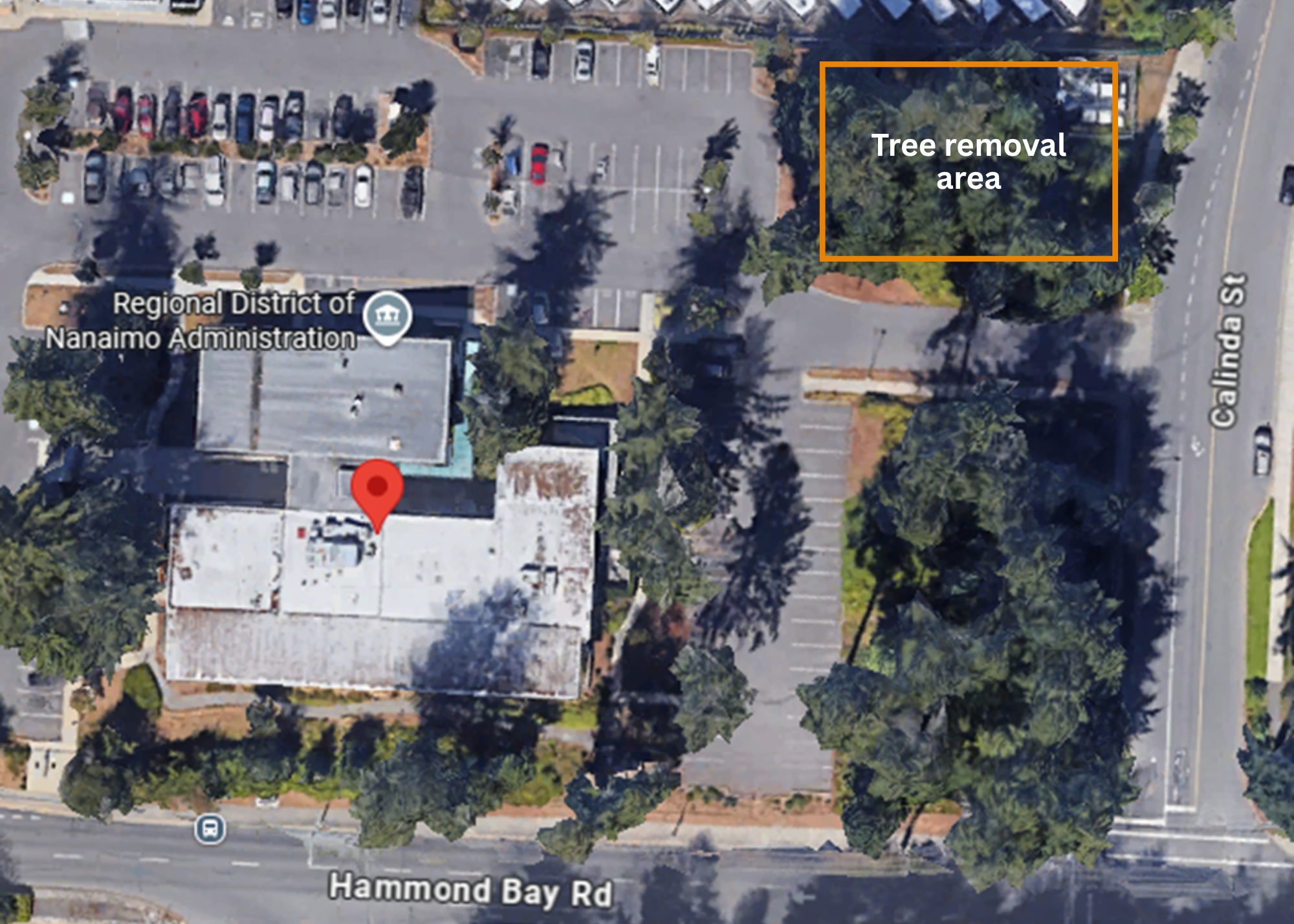 Photo of area where trees are being removed