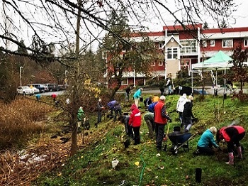 Nanaimo & Area Land Trust volunteers installing native plants along the banks of a Chase River Wetland in 2019