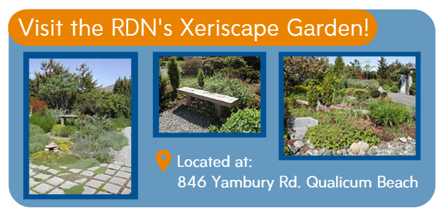 Xeriscape Garden