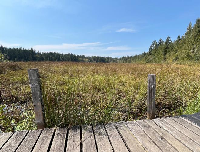 Hamilton Marsh
